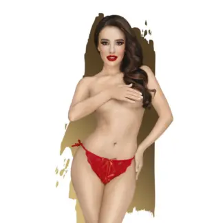 Penthouse Too Hot To Be Real Panties Red (Medium/Large) Penthouse Too Hot To Be Real Panties Red (Medium/Large)