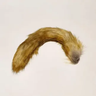 Brown Tail 40cm